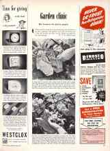 Better Homes & Gardens June 1950 Magazine Article: Garden clinic