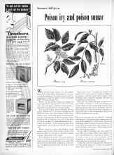 Better Homes & Gardens June 1950 Magazine Article: Poison ivy and poison sumac