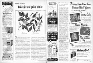Better Homes & Gardens June 1950 Magazine Article: Page 226