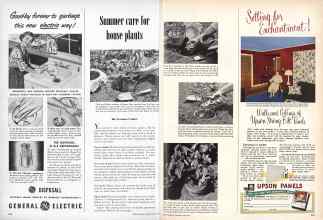 Better Homes & Gardens June 1950 Magazine Article: Slimmer care for house plants