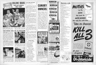 Better Homes & Gardens June 1950 Magazine Article: Page 234