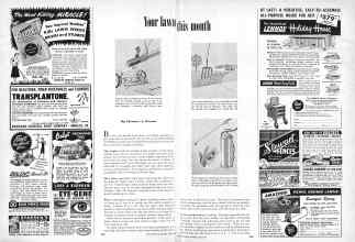 Better Homes & Gardens June 1950 Magazine Article: Your lawn this month