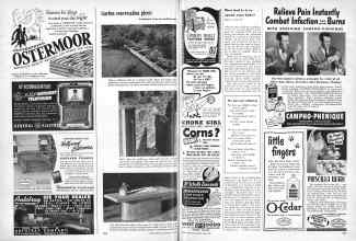 Better Homes & Gardens June 1950 Magazine Article: Page 252