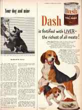 Better Homes & Gardens July 1950 Magazine Article: Your dog and mine