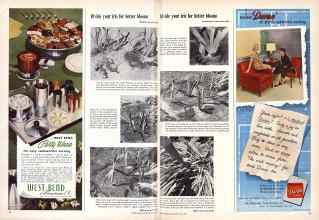 Better Homes & Gardens July 1950 Magazine Article: Page 30