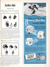 Better Homes & Gardens September 1950 Magazine Article: Garden clinic
