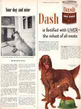 Better Homes & Gardens September 1950 Magazine Article: Your dog and mine