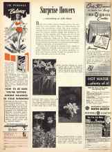 Better Homes & Gardens September 1950 Magazine Article: Surprise flowers