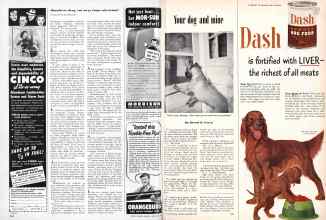 Better Homes & Gardens September 1950 Magazine Article: Page 240