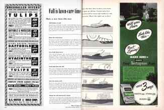 Better Homes & Gardens September 1950 Magazine Article: Fall is lawn-care time