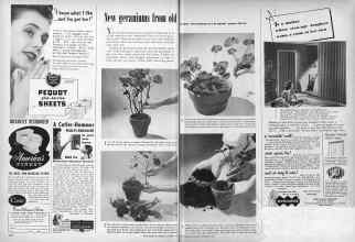 Better Homes & Gardens September 1950 Magazine Article: Page 266