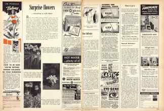 Better Homes & Gardens September 1950 Magazine Article: Page 278
