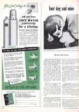 Better Homes & Gardens October 1950 Magazine Article: Your dog and mine
