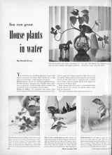 Better Homes & Gardens October 1950 Magazine Article: You can grow House plants in water