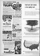 Better Homes & Gardens October 1950 Magazine Article: Article