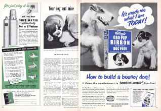 Better Homes & Gardens October 1950 Magazine Article: Page 220