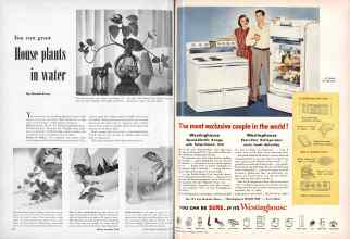 Better Homes & Gardens October 1950 Magazine Article: Page 254