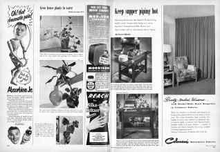 Better Homes & Gardens October 1950 Magazine Article: Page 256