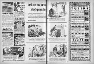 Better Homes & Gardens October 1950 Magazine Article: Yard care now means a fast spring start