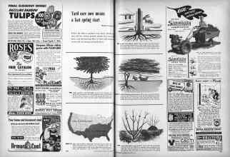 Better Homes & Gardens October 1950 Magazine Article: Page 308