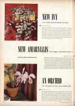 Better Homes & Gardens November 1950 Magazine Article: AN ORCHID