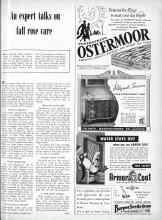 Better Homes & Gardens November 1950 Magazine Article: An expert talks on fall rose care