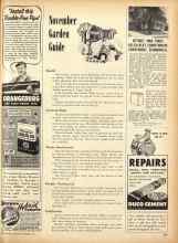 Better Homes & Gardens November 1950 Magazine Article: November Garden Guide