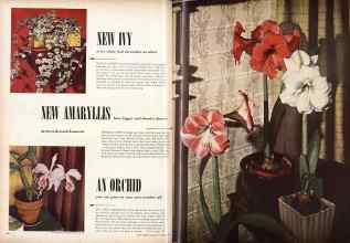 Better Homes & Gardens November 1950 Magazine Article: Page 58