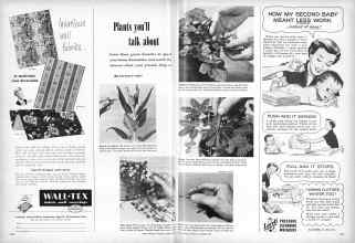 Better Homes & Gardens November 1950 Magazine Article: Page 224