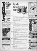 Better Homes & Gardens December 1950 Magazine Article: December Garden Guide