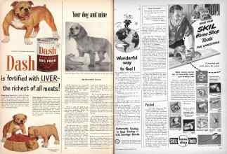 Better Homes & Gardens December 1950 Magazine Article: Your dog and mine