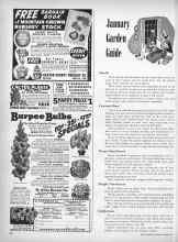 Better Homes & Gardens January 1951 Magazine Article: January Garden Guide