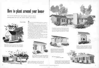 Better Homes & Gardens January 1951 Magazine Article: How to plant around your house