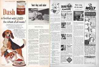 Better Homes & Gardens January 1951 Magazine Article: Your dog and mine