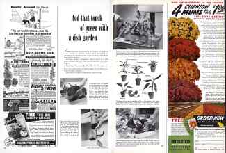 Better Homes & Gardens January 1951 Magazine Article: Add that touch of green with a dish garden