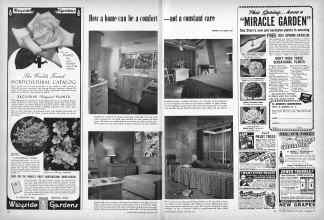 Better Homes & Gardens January 1951 Magazine Article: Page 118