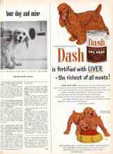 Better Homes & Gardens February 1951 Magazine Article: Your dog and mine
