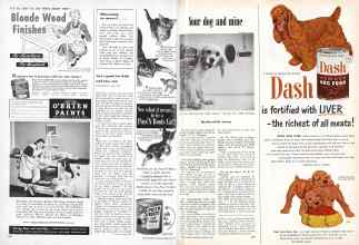 Better Homes & Gardens February 1951 Magazine Article: Page 188