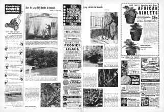 Better Homes & Gardens February 1951 Magazine Article: Page 200