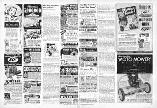 Better Homes & Gardens February 1951 Magazine Article: Page 204