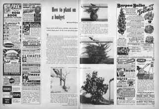 Better Homes & Gardens February 1951 Magazine Article: How to plant on a budget