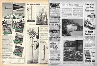 Better Homes & Gardens February 1951 Magazine Article: Page 210