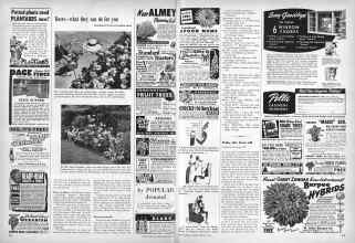 Better Homes & Gardens February 1951 Magazine Article: Page 212