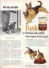 Better Homes & Gardens March 1951 Magazine Article: Your dog and mine