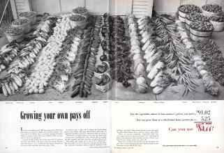 Better Homes & Gardens March 1951 Magazine Article: Growing your own pays off
