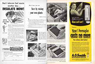 Better Homes & Gardens March 1951 Magazine Article: Here's how you can Save by raising your own plants