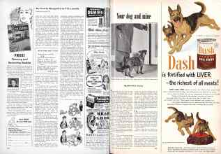 Better Homes & Gardens March 1951 Magazine Article: Page 260