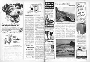 Better Homes & Gardens March 1951 Magazine Article: Page 262