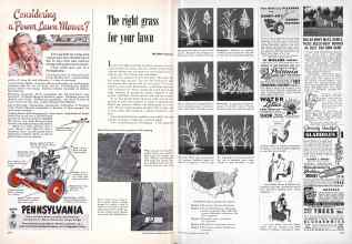 Better Homes & Gardens March 1951 Magazine Article: The right grass for your lawn