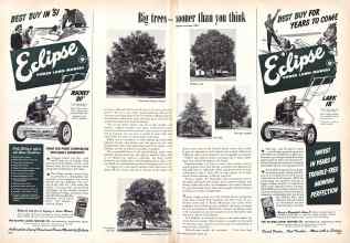 Better Homes & Gardens March 1951 Magazine Article: Page 292